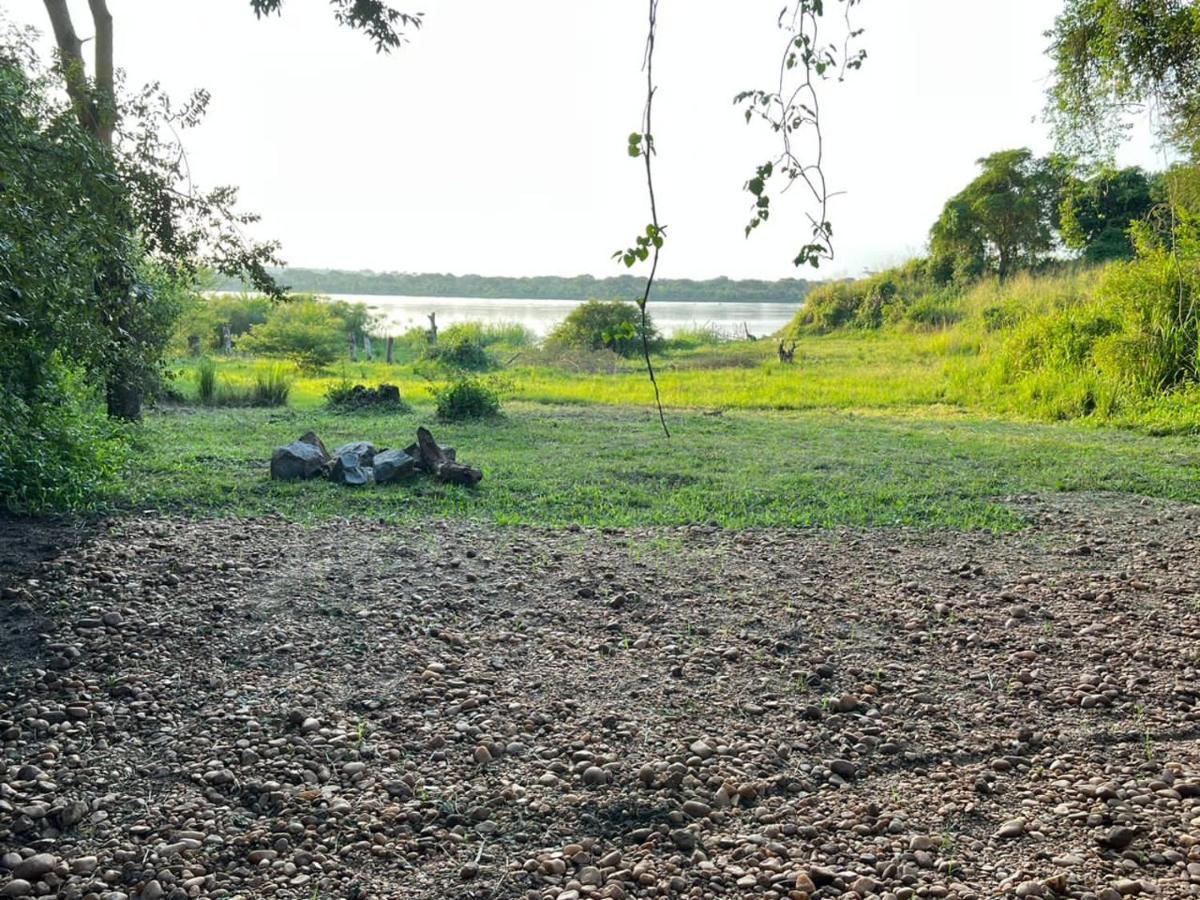 Murchison Giraffe Camp Paraa Zewnętrze zdjęcie