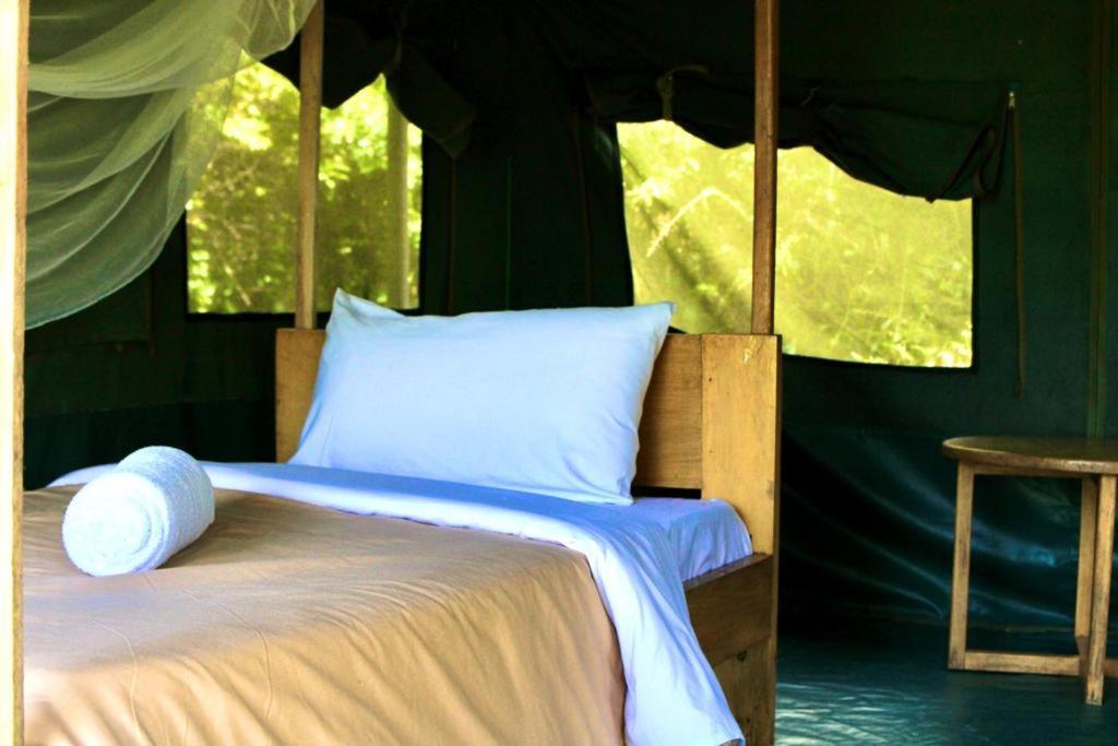 Murchison Giraffe Camp Paraa Zewnętrze zdjęcie